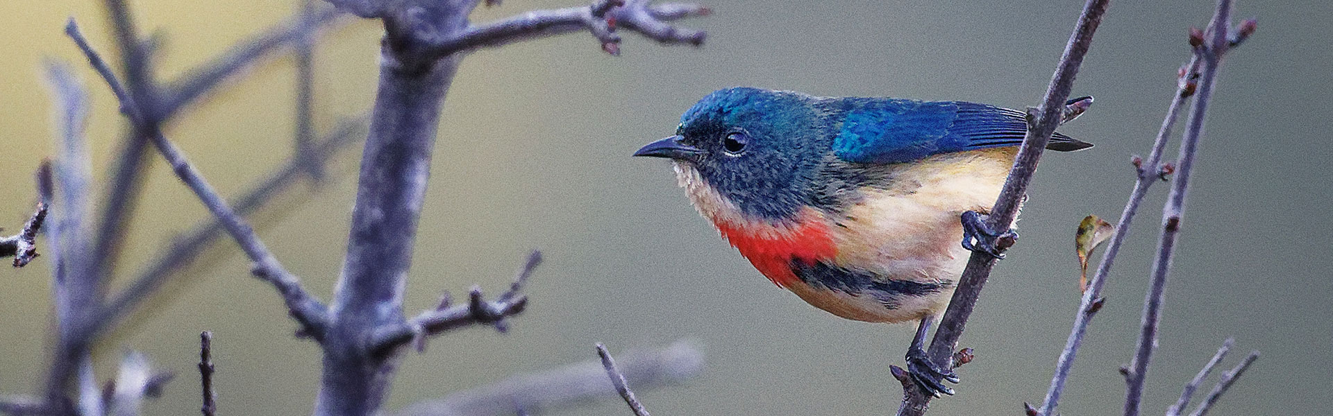 Bhutan