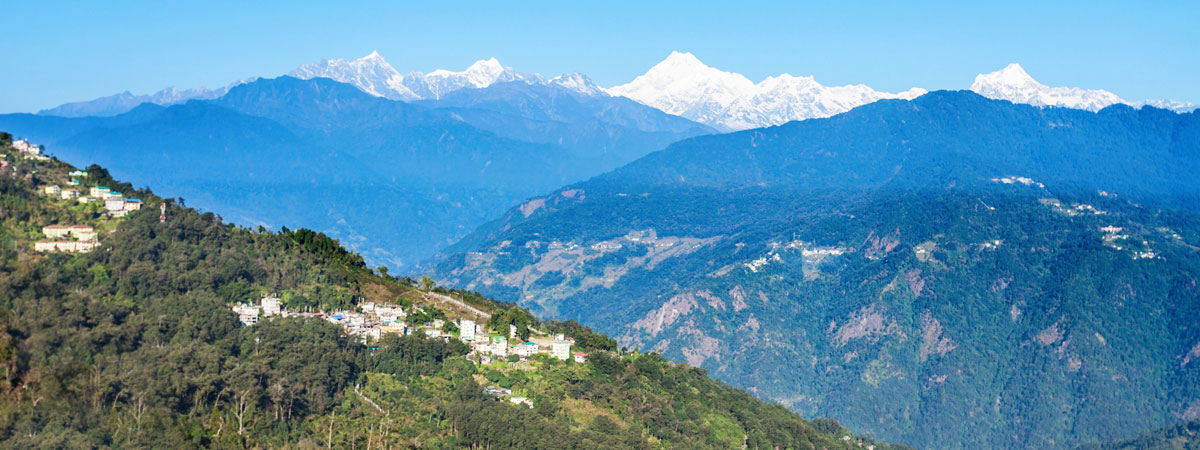 Short Hikes in Singalila NP & Barsey Rhododendron Sanctuary, Pelling & Gangtok