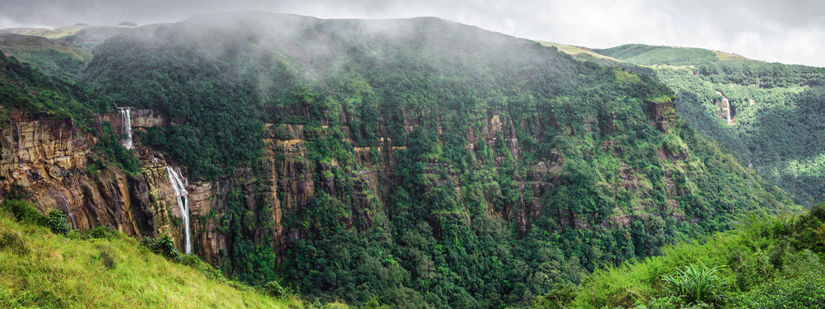 Walong and Namdhapa Wilderness